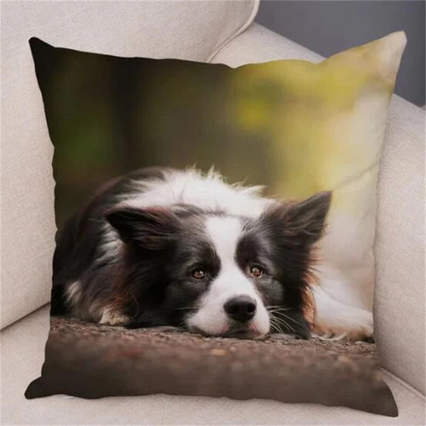 Short Plush Animal Cushion Cover Border Collie Pillowcase for Sofa Car Decor