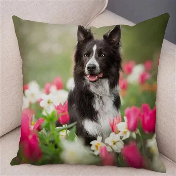 Cute Pet Animal Cushion Cover Border Collie for Sofa Decor Dog Print Pillow Case