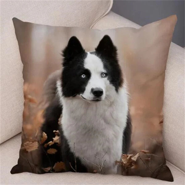Short Plush Animal Cushion Cover Border Collie Pillowcase for Sofa Car Decor