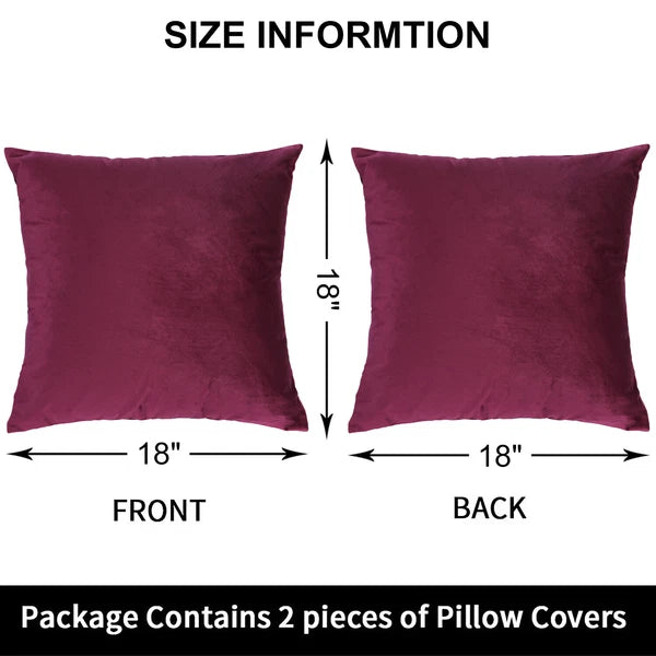 Velvet Soft Cushion Cover, 2 Pack Modern Decorative Throw Pillow Case 18"x18"